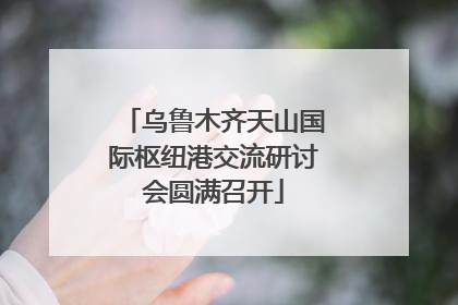 乌鲁木齐天山国际枢纽港交流研讨会圆满召开