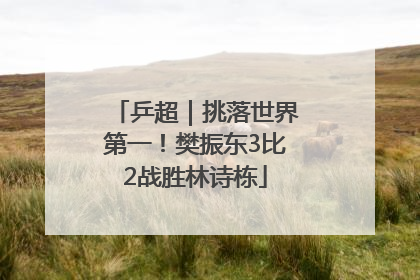 乒超｜挑落世界第一！樊振东3比2战胜林诗栋