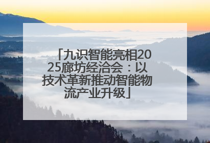 九识智能亮相2025廊坊经洽会：以技术革新推动智能物流产业升级