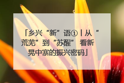 乡兴“新”语①丨从“荒芜”到“苏醒” 看新晃中寨的振兴密码
