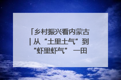 乡村振兴看内蒙古｜从“土里土气”到“虾里虾气” 一田双收模式火出圈