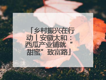 乡村振兴在行动丨安徽太和：西瓜产业铺就“甜蜜”致富路