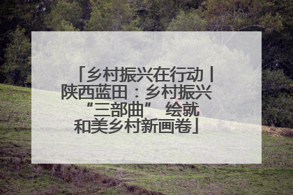 乡村振兴在行动丨陕西蓝田：乡村振兴 “三部曲” 绘就和美乡村新画卷