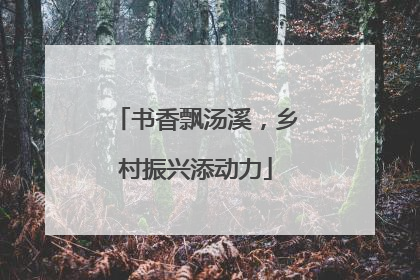 书香飘汤溪，乡村振兴添动力