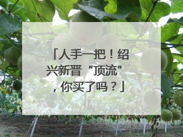 人手一把！绍兴新晋“顶流”，你买了吗？