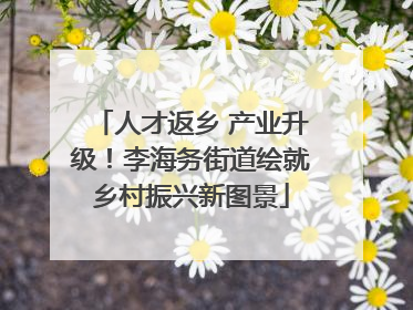 人才返乡 产业升级！李海务街道绘就乡村振兴新图景