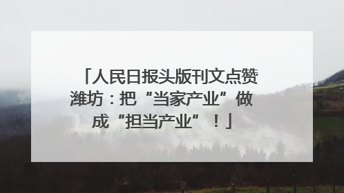 人民日报头版刊文点赞潍坊：把“当家产业”做成“担当产业”！