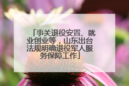 事关退役安置、就业创业等，山东出台法规明确退役军人服务保障工作