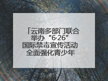 云南多部门联合举办“6·26”国际禁毒宣传活动 全面强化青少年防毒意识