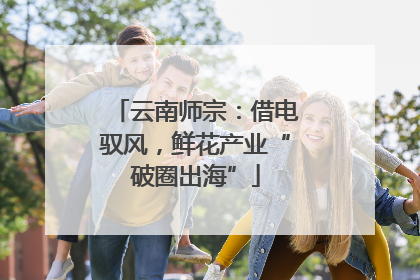 云南师宗：借电驭风，鲜花产业“破圈出海”