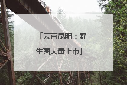 云南昆明：野生菌大量上市