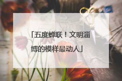 五度蝉联！文明淄博的模样最动人