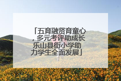 五育融贤育童心，多元考评助成长 乐山县街小学助力学生全面发展