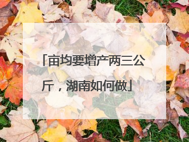 亩均要增产两三公斤，湖南如何做
