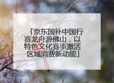 京东国补中国行赛龙舟游佛山，以特色文化赛事激活区域消费新动能