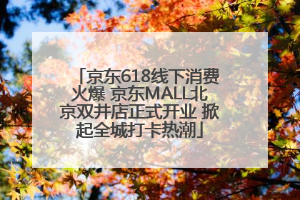 京东618线下消费火爆 京东MALL北京双井店正式开业 掀起全城打卡热潮