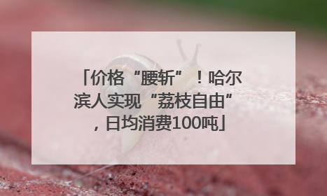 价格“腰斩”！哈尔滨人实现“荔枝自由”，日均消费100吨