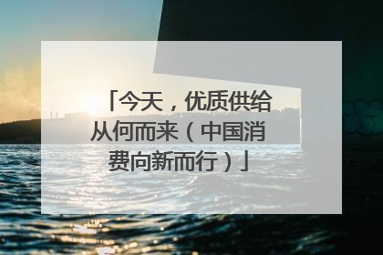 今天，优质供给从何而来（中国消费向新而行）