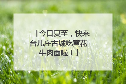今日夏至，快来台儿庄古城吃黄花牛肉面啦！
