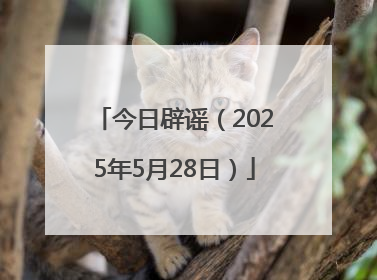 今日辟谣（2025年5月28日）