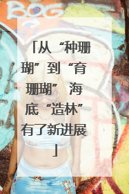 从“种珊瑚”到“育珊瑚” 海底“造林”有了新进展