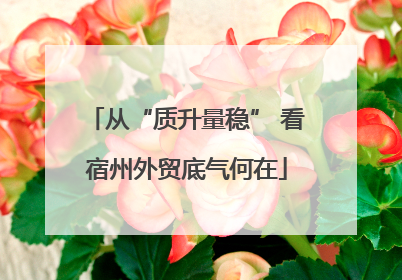 从“质升量稳” 看宿州外贸底气何在