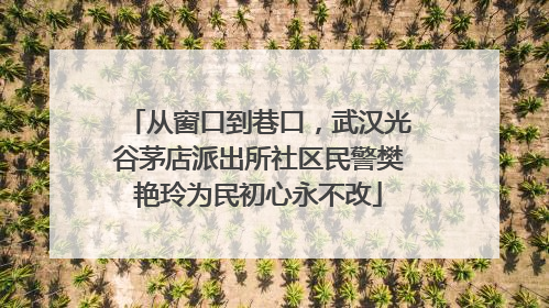 从窗口到巷口，武汉光谷茅店派出所社区民警樊艳玲为民初心永不改