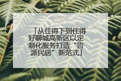 从住得下到住得好聊城高新区以定制化服务打造“鲁派民居”新范式