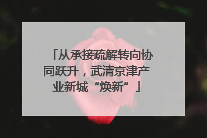 从承接疏解转向协同跃升，武清京津产业新城“焕新”