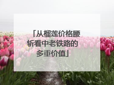 从榴莲价格腰斩看中老铁路的多重价值