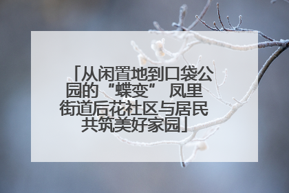 从闲置地到口袋公园的“蝶变” 凤里街道后花社区与居民共筑美好家园