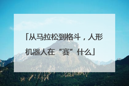 从马拉松到格斗，人形机器人在“赛”什么