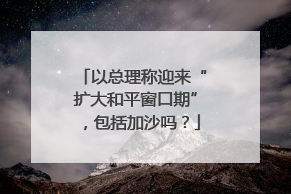 以总理称迎来“扩大和平窗口期”，包括加沙吗？