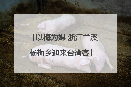 以梅为媒 浙江兰溪杨梅乡迎来台湾客
