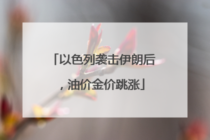 以色列袭击伊朗后，油价金价跳涨