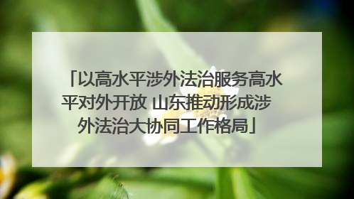 以高水平涉外法治服务高水平对外开放 山东推动形成涉外法治大协同工作格局