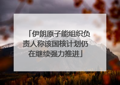 伊朗原子能组织负责人称该国核计划仍在继续强力推进