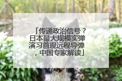 传递政治信号？日本最大规模实弹演习首现远程导弹，中国专家解读