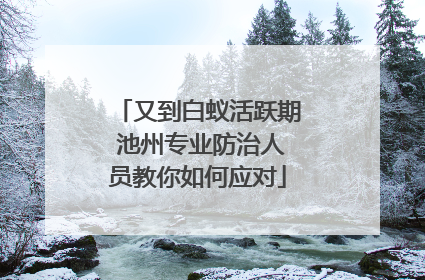 又到白蚁活跃期 池州专业防治人员教你如何应对