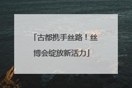 古都携手丝路！丝博会绽放新活力