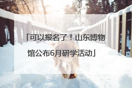 可以报名了！山东博物馆公布6月研学活动