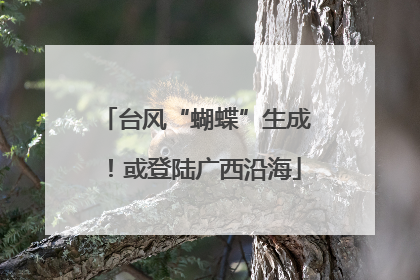 台风“蝴蝶”生成！或登陆广西沿海