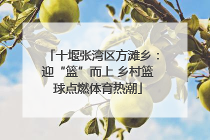 十堰张湾区方滩乡：迎“篮”而上 乡村篮球点燃体育热潮