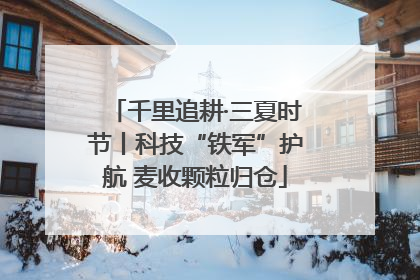 千里追耕·三夏时节丨科技“铁军”护航 麦收颗粒归仓
