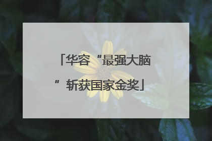 华容“最强大脑”斩获国家金奖
