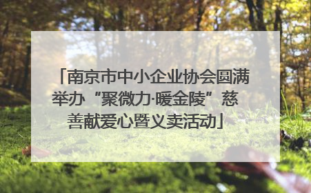 南京市中小企业协会圆满举办“聚微力·暖金陵”慈善献爱心暨义卖活动