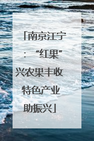南京江宁：“红果”兴农果丰收 特色产业助振兴
