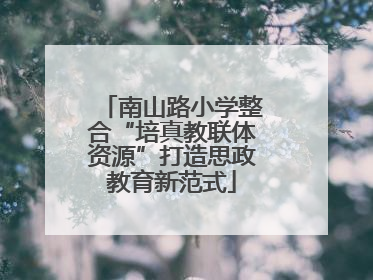 南山路小学整合“培真教联体资源”打造思政教育新范式