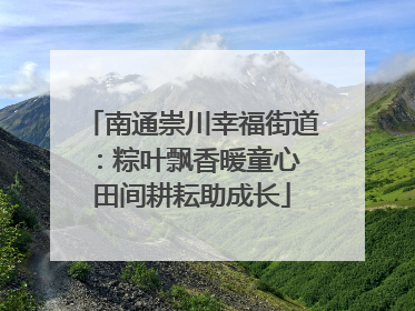 南通崇川幸福街道：粽叶飘香暖童心 田间耕耘助成长
