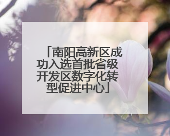 南阳高新区成功入选首批省级开发区数字化转型促进中心